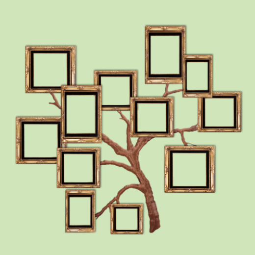 分类图片 Decorations