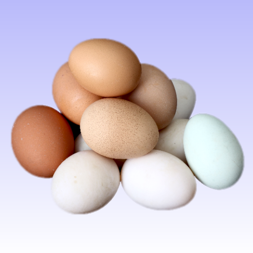 รูปภาพสำหรับหมวดหมู่นี้ Eggs