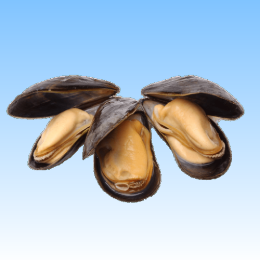 分类图片 Deli Shellfish