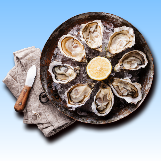 分类图片 Other  Shellfish
