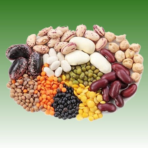รูปภาพสำหรับหมวดหมู่นี้ Beans